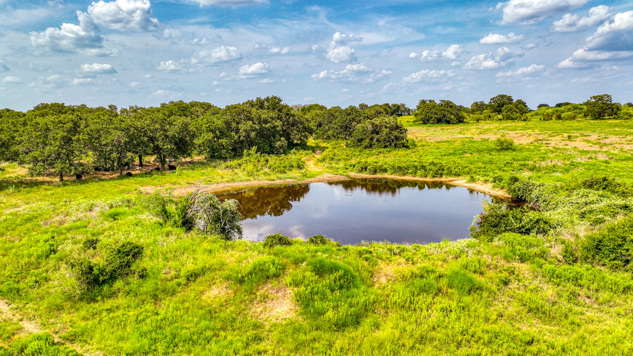 11500 Bowden Road Lipan TX 76462