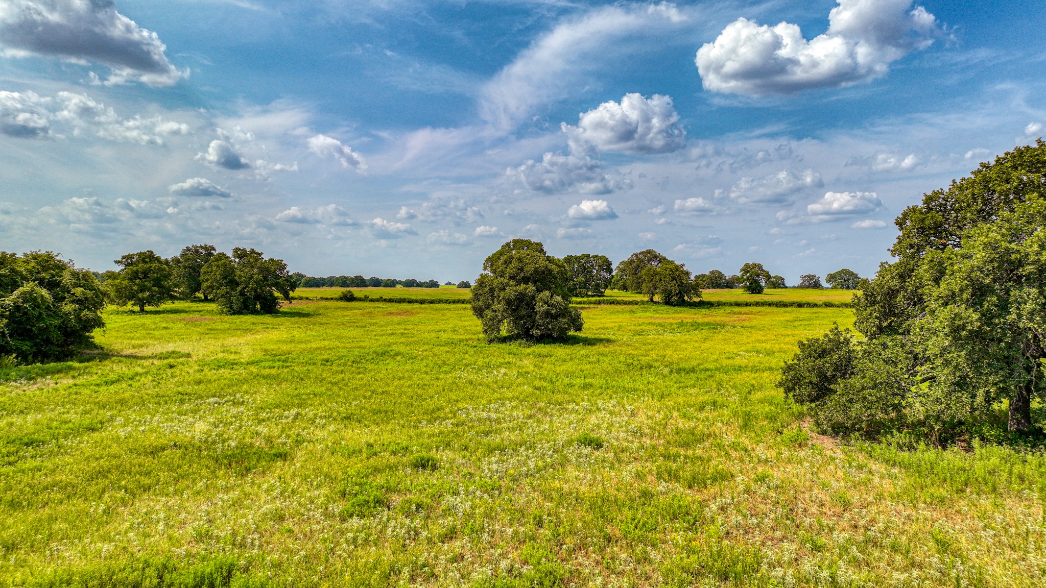 11500 Bowden Road Lipan TX 76462