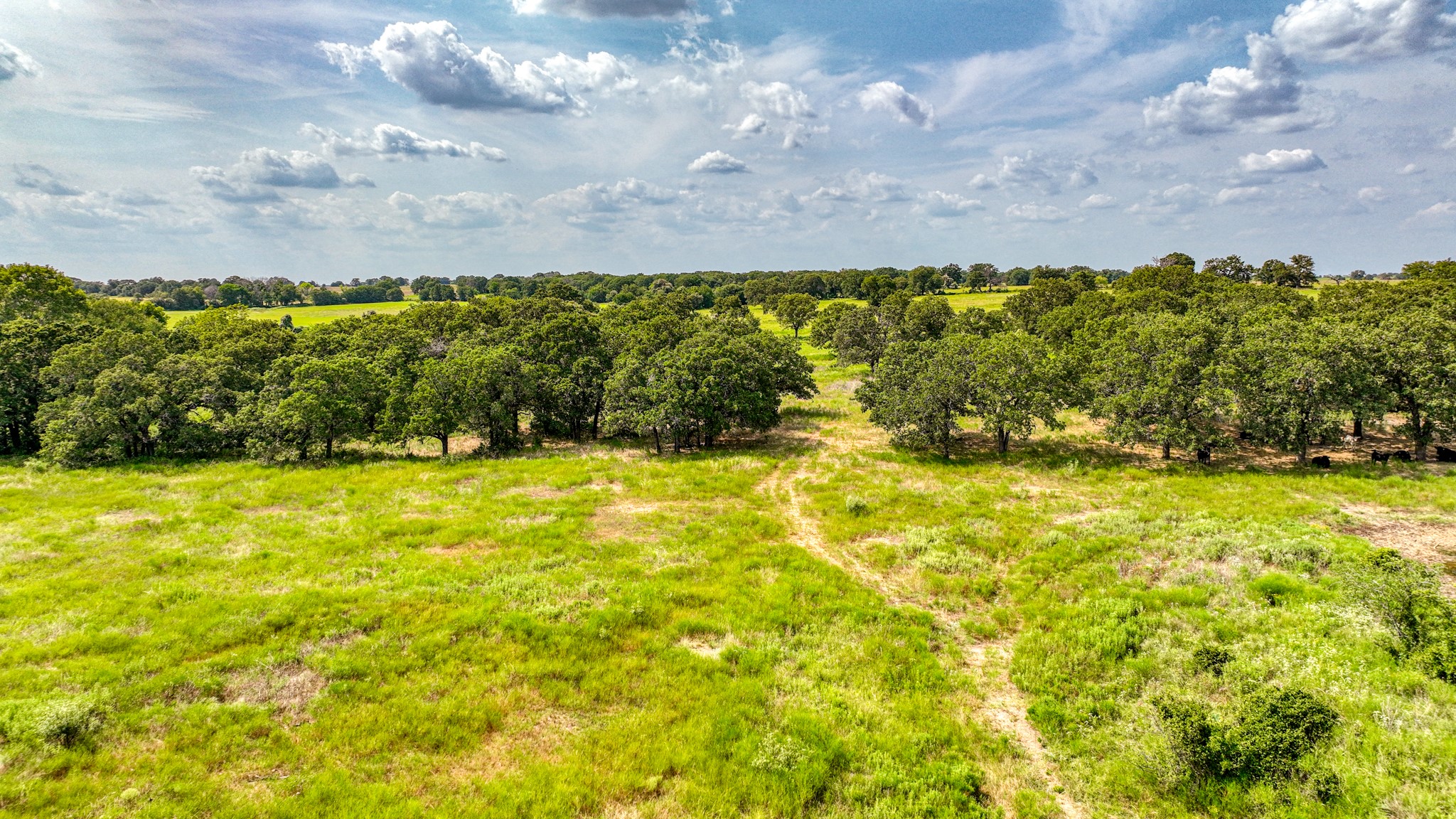 11500 Bowden Road Lipan TX 76462