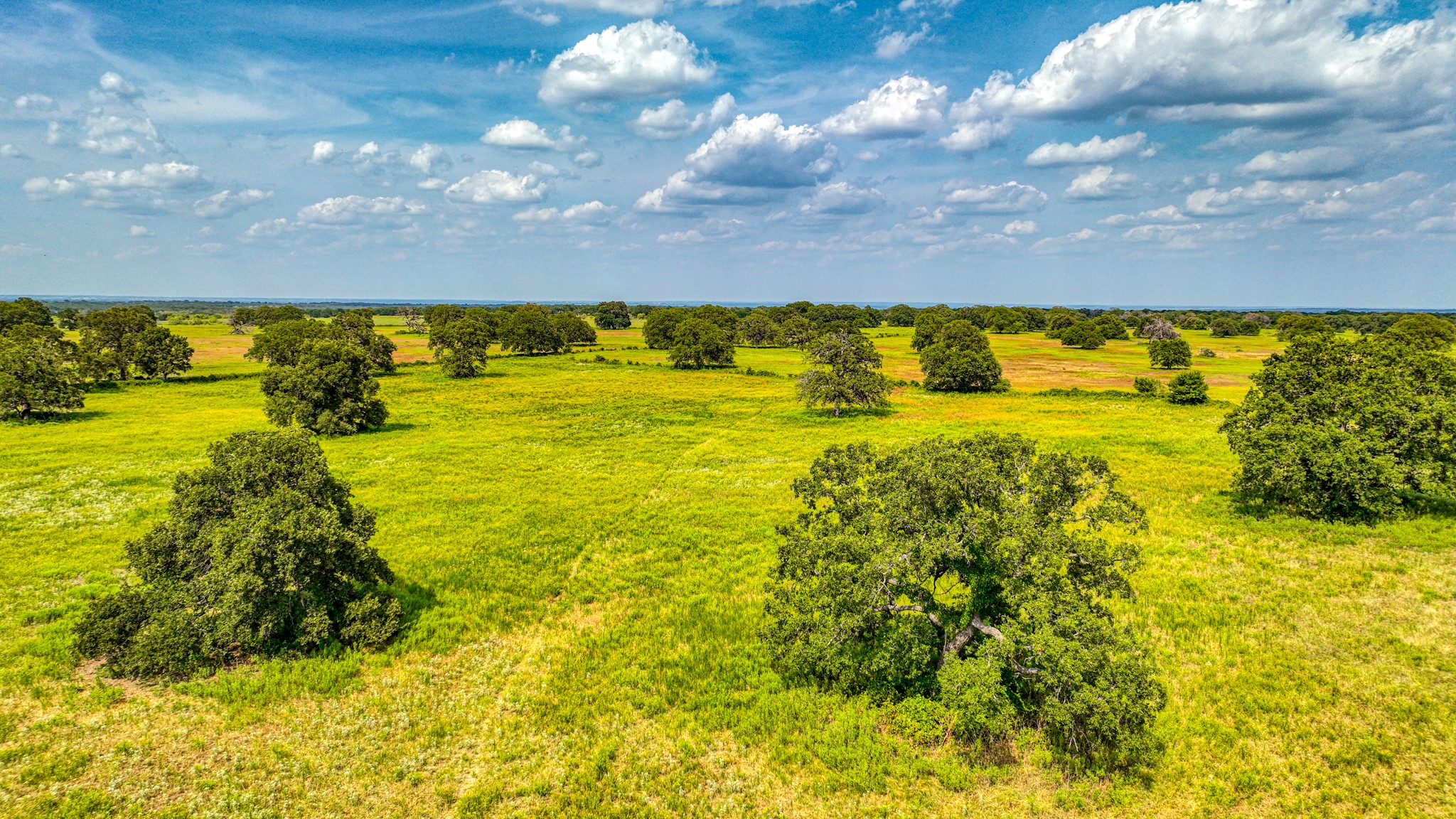 11500 Bowden Road Lipan TX 76462