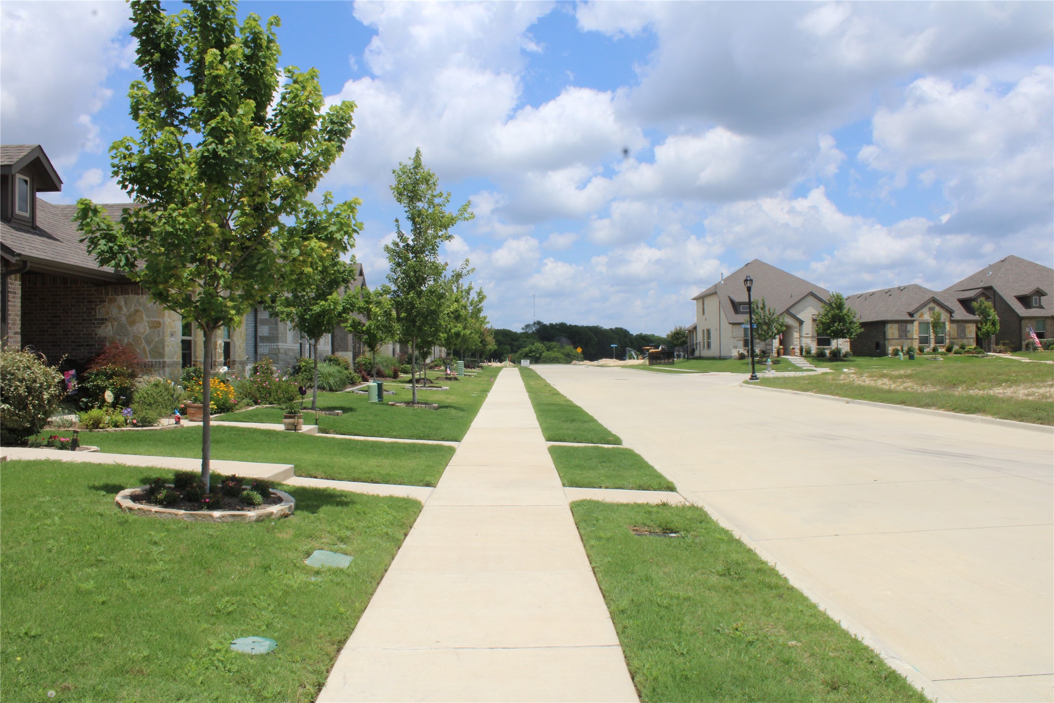 217 Foreman Drive Midlothian TX 76065