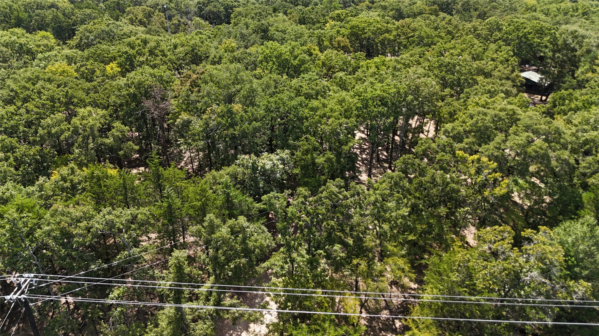 9972 County Road 2434 Terrell TX 75160