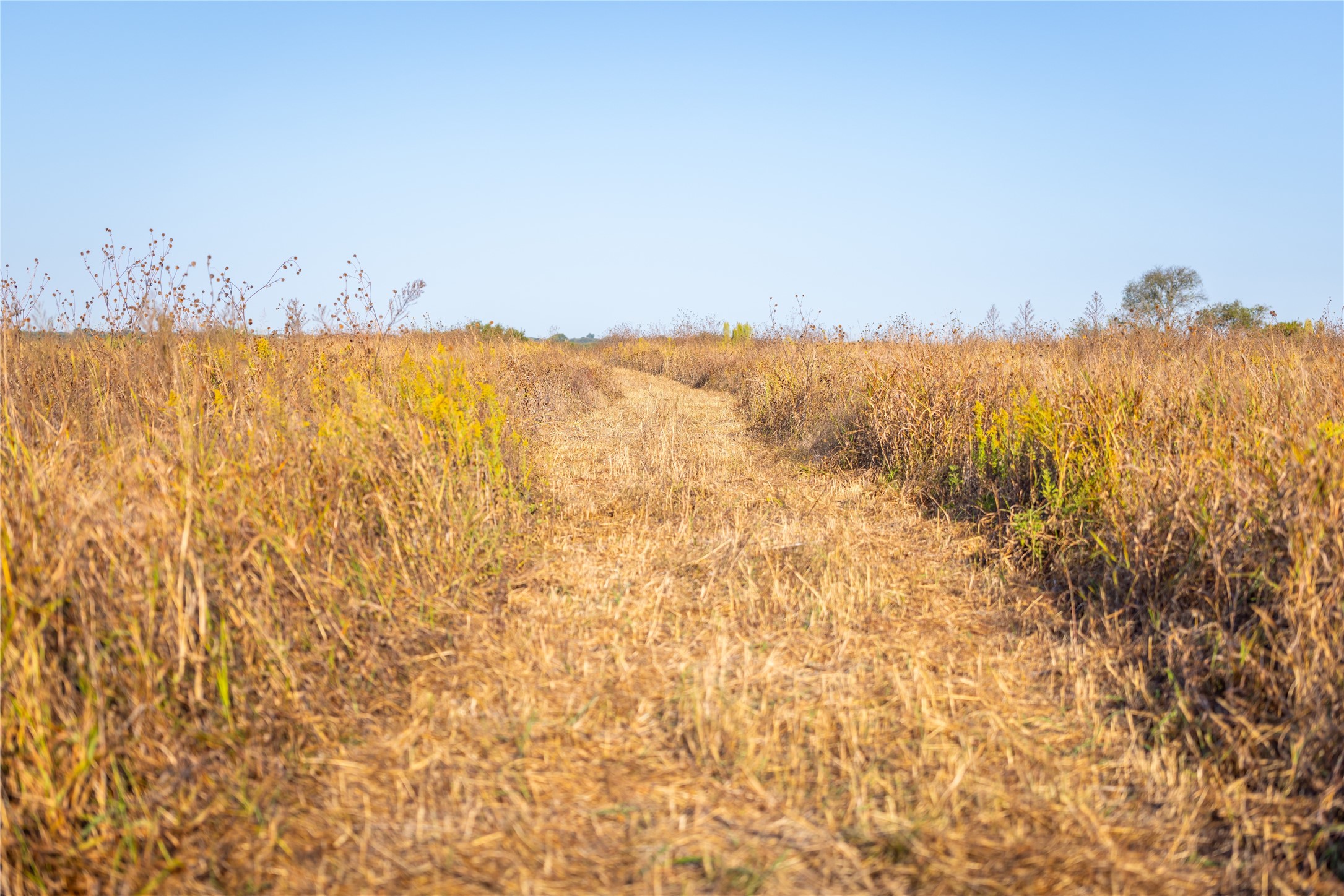 4045 County Road 212 Alvarado TX 76009