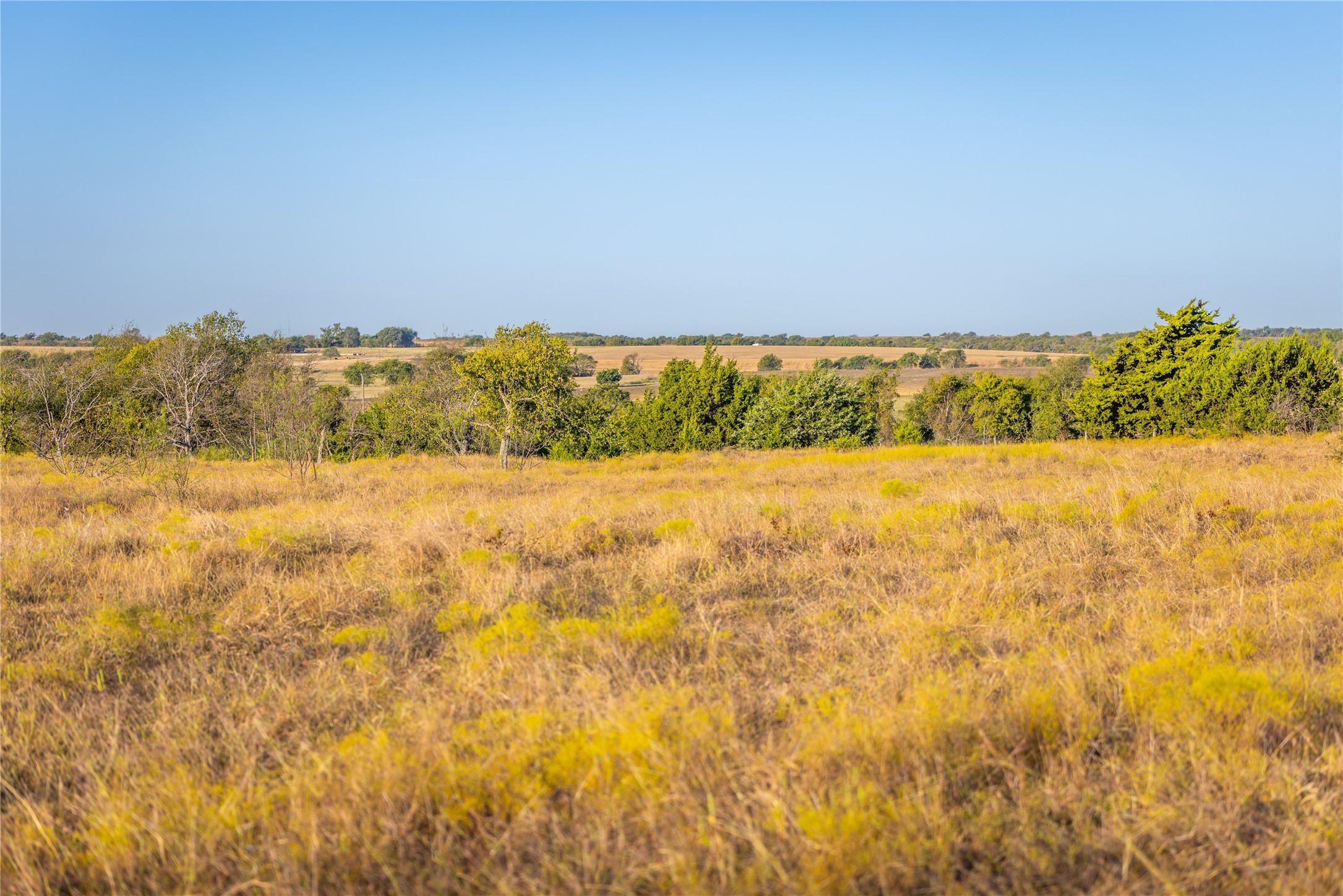 4045 County Road 212 Alvarado TX 76009