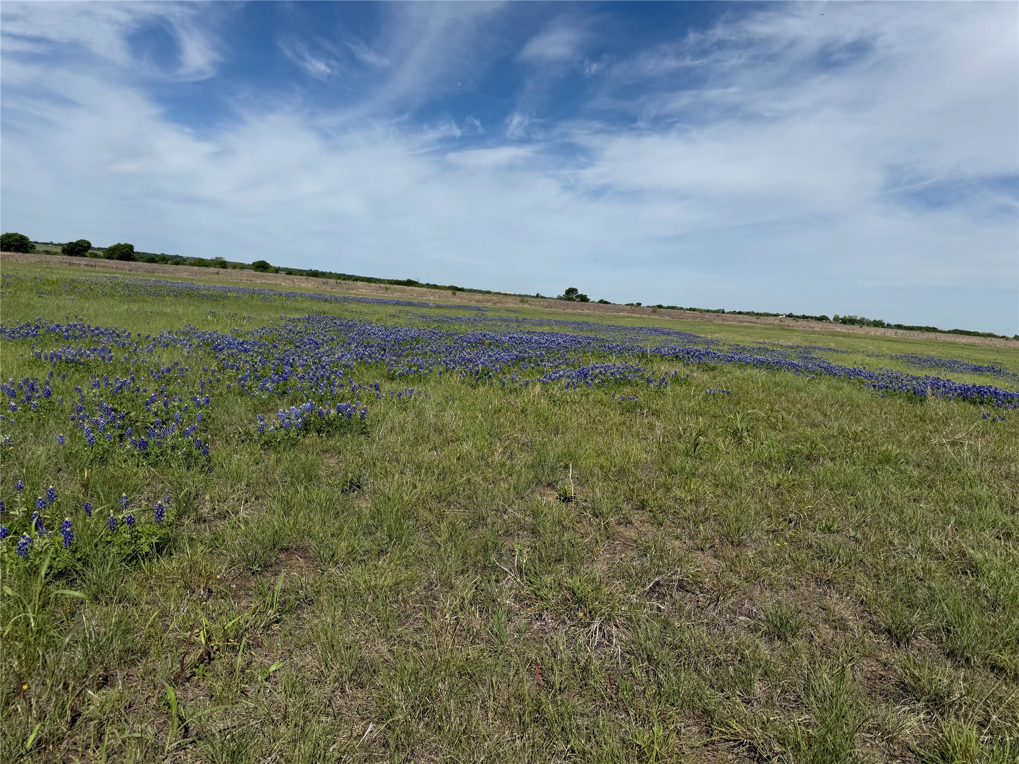 4045 County Road 212 Alvarado TX 76009