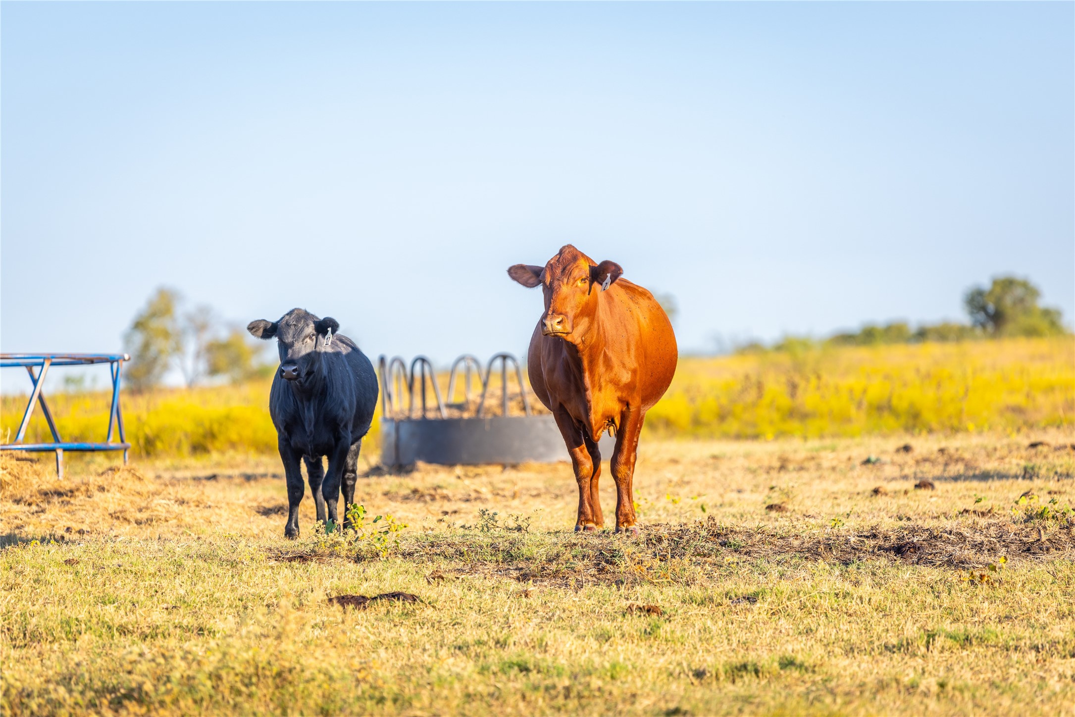 4045 County Road 212 Alvarado TX 76009