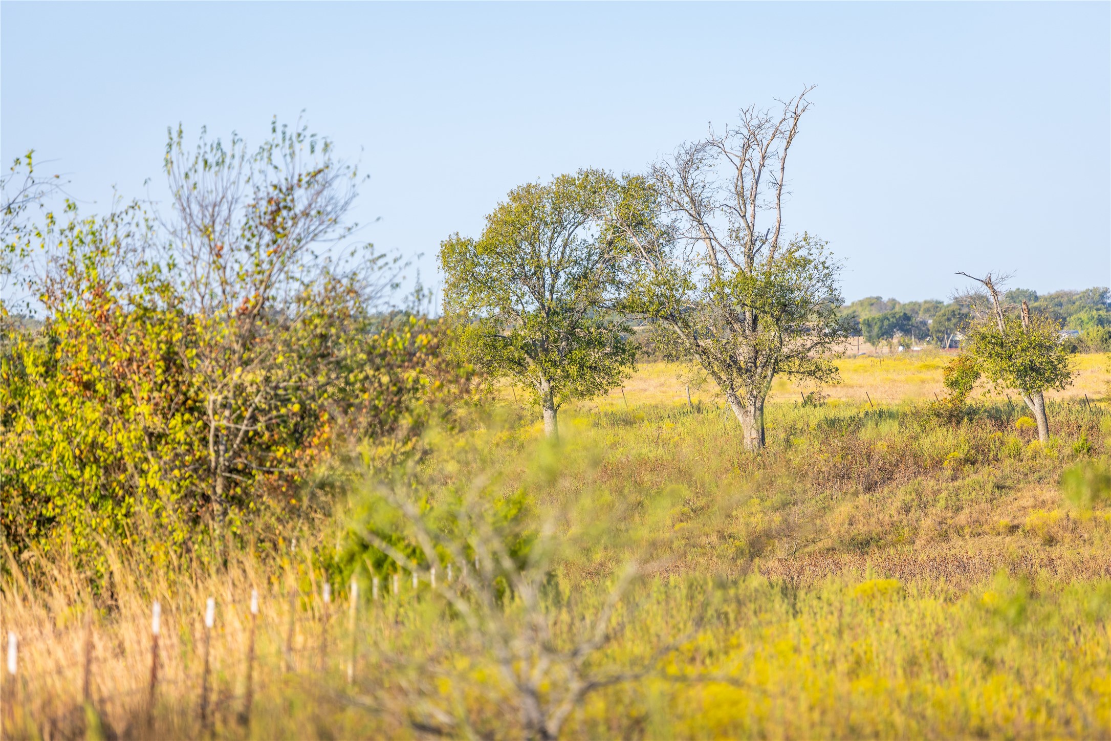 4045 County Road 212 Alvarado TX 76009