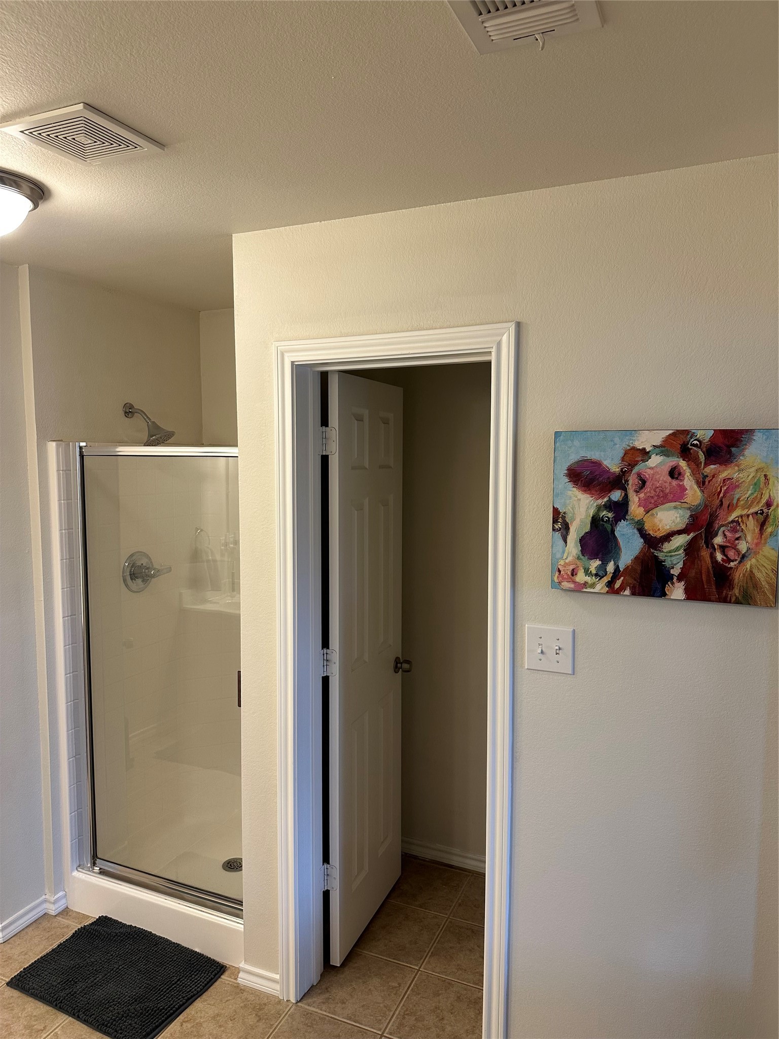 222 Windmill Drive Justin TX 76247