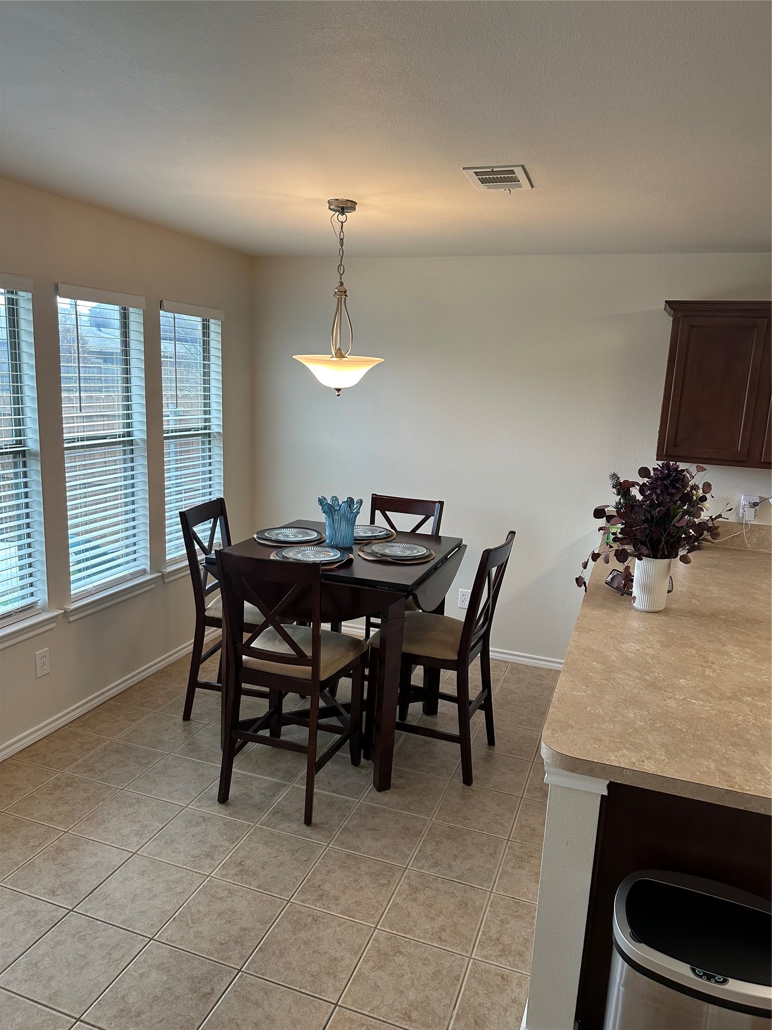 222 Windmill Drive Justin TX 76247