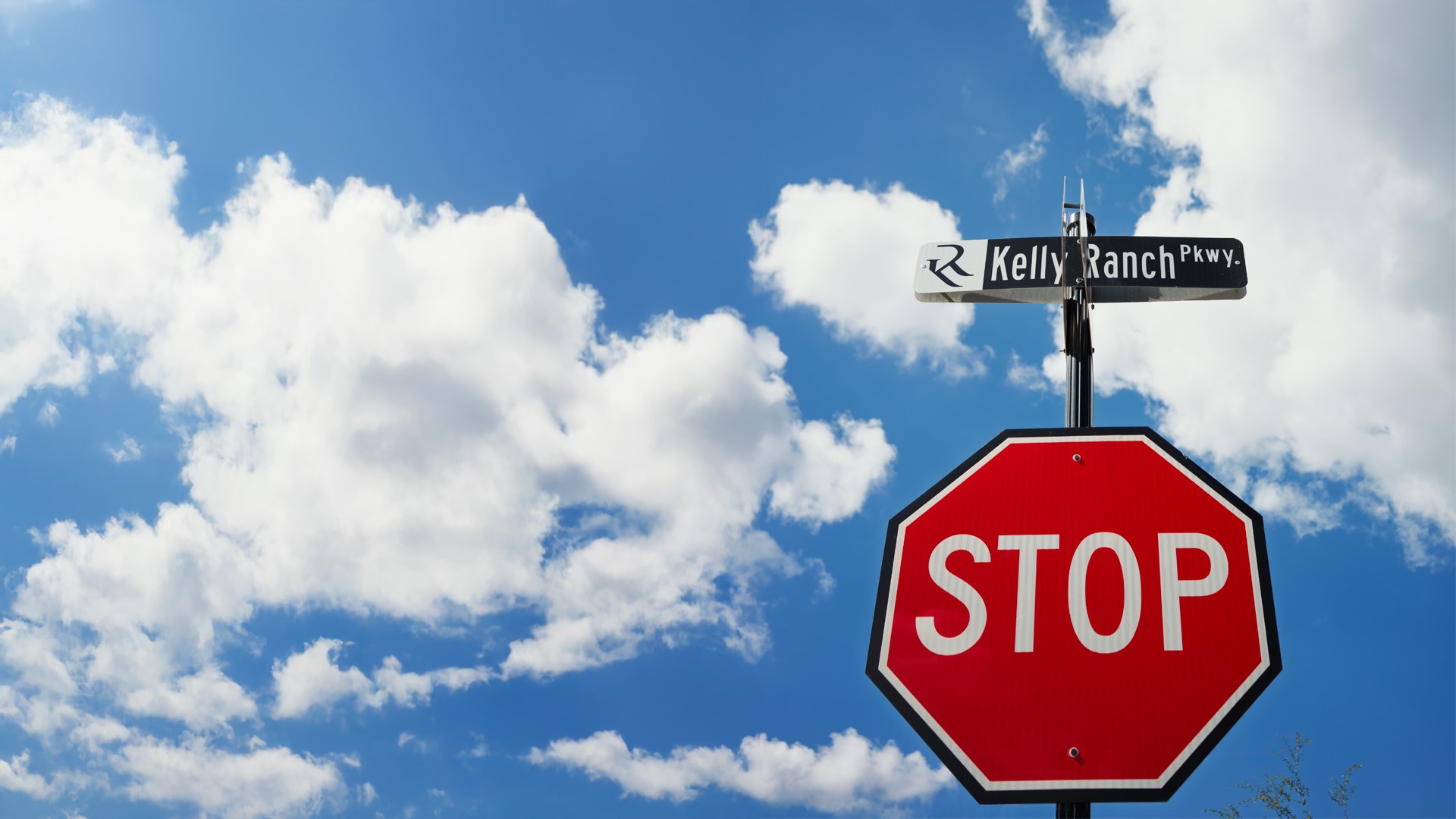 316 Manza Court Aledo TX 76008