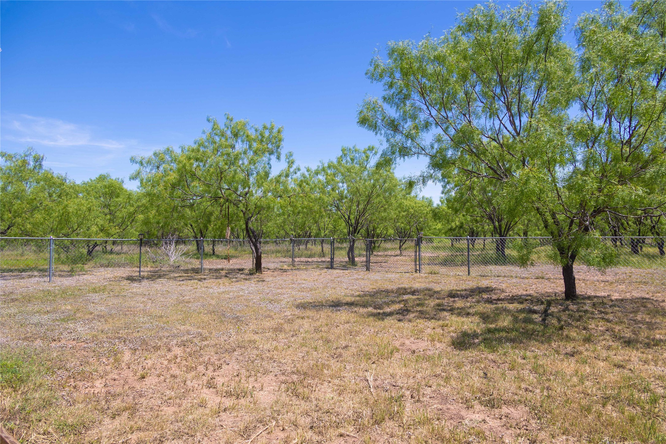 15905 C. R. 211 Brookesmith TX 76827