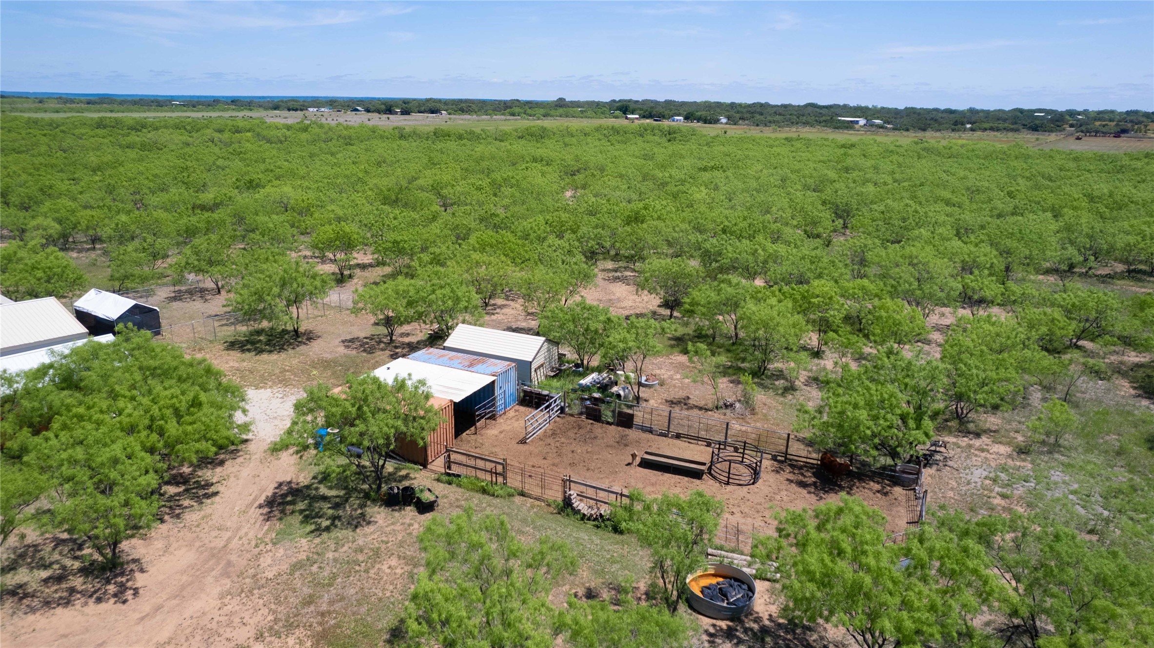 15905 C. R. 211 Brookesmith TX 76827