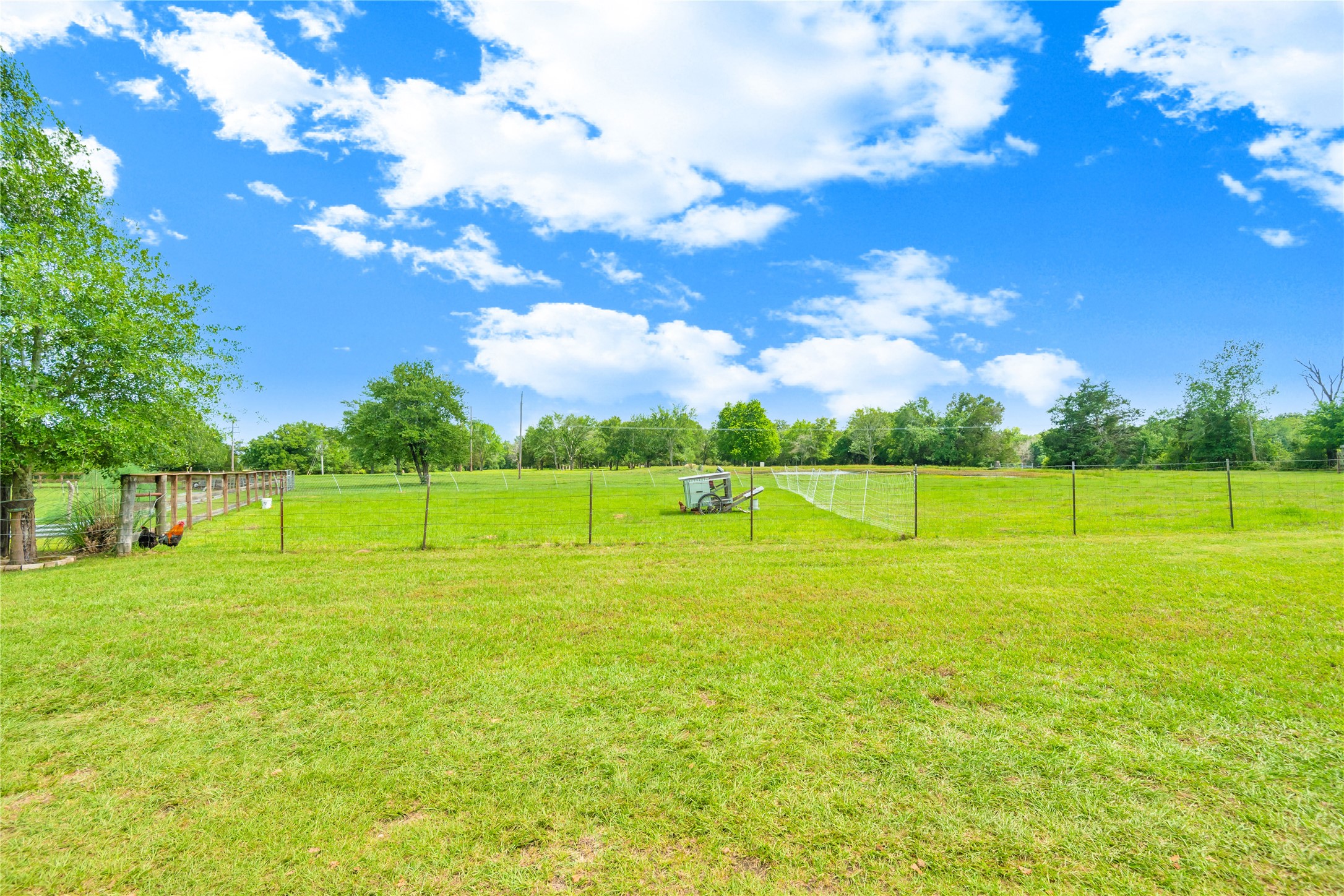 2232 Highway 164 E Groesbeck TX 76642