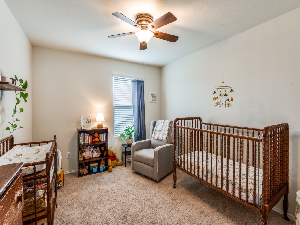 3109 Adrian Creek Drive Little Elm TX 75068
