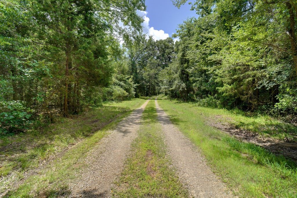 615 County Road 1785 Yantis TX 75497
