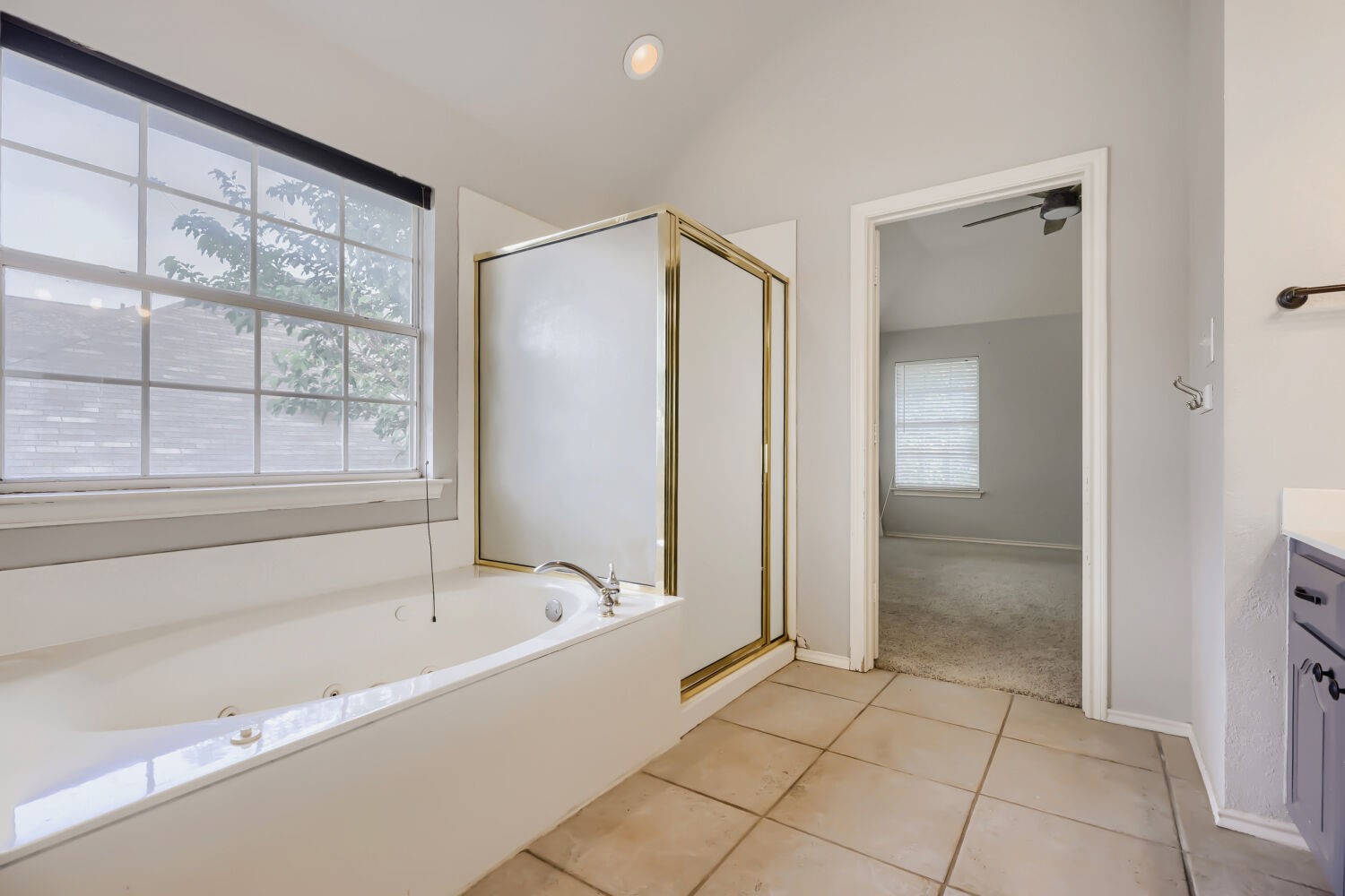 5216 Birch Grove Lane Fort Worth TX 76137