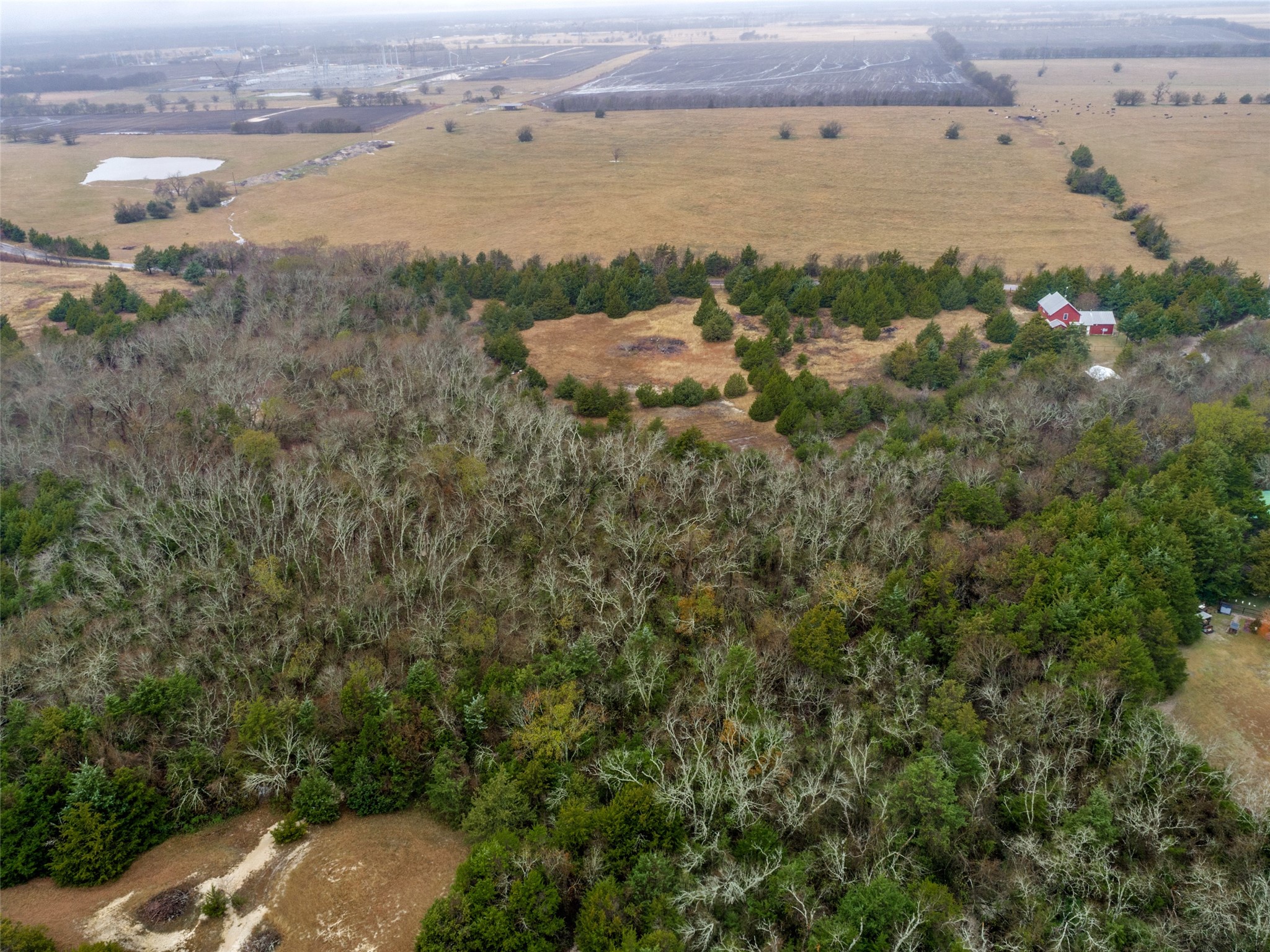 Tbd Red Maple Gunter TX 75058