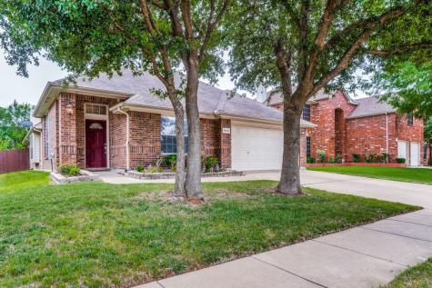 1243 Clearwater Drive Grand Prairie TX 75052