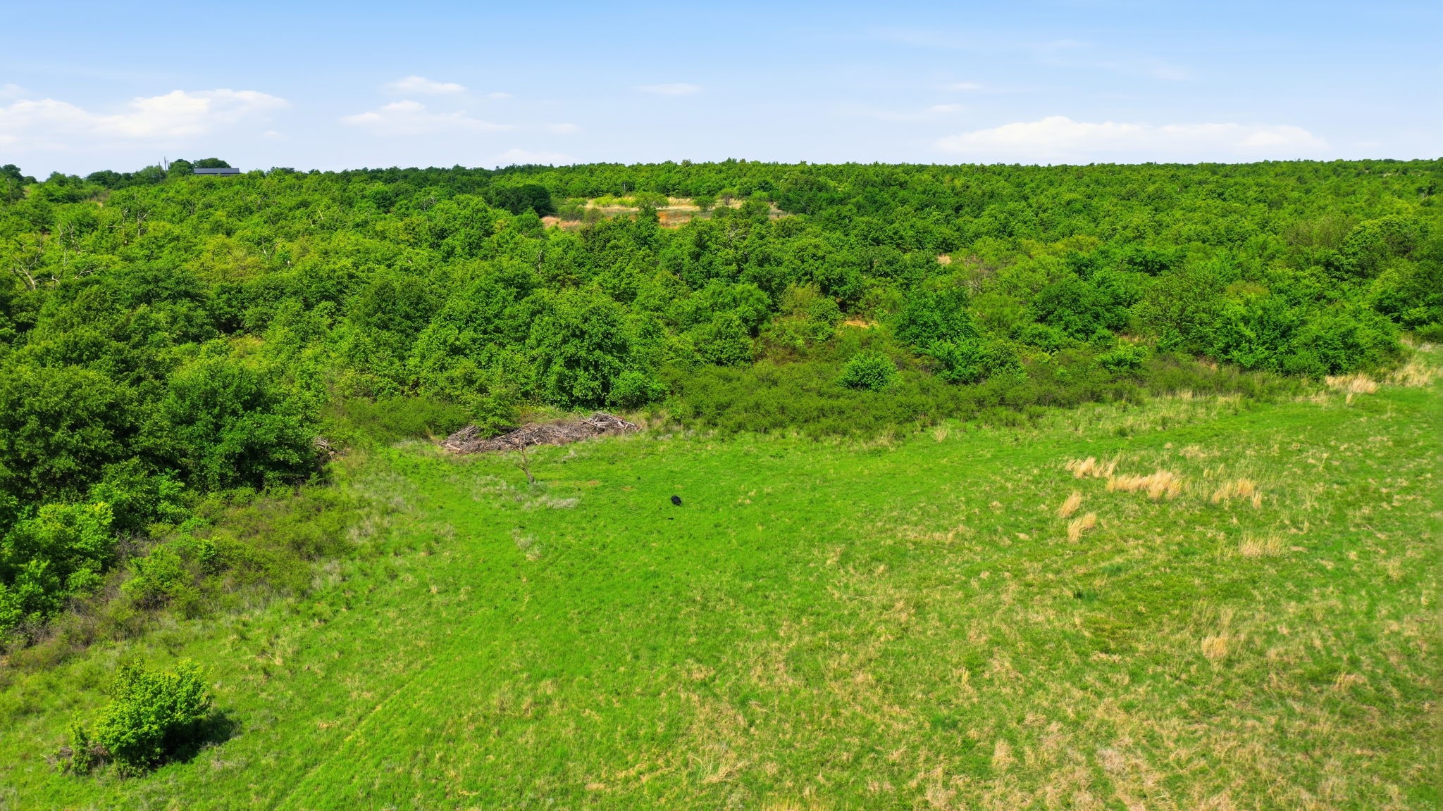 3180 Rock Creek Road Jacksboro TX 76458
