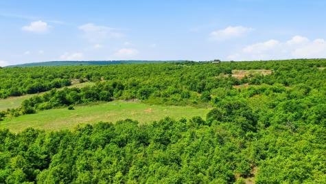 3180 Rock Creek Road Jacksboro TX 76458