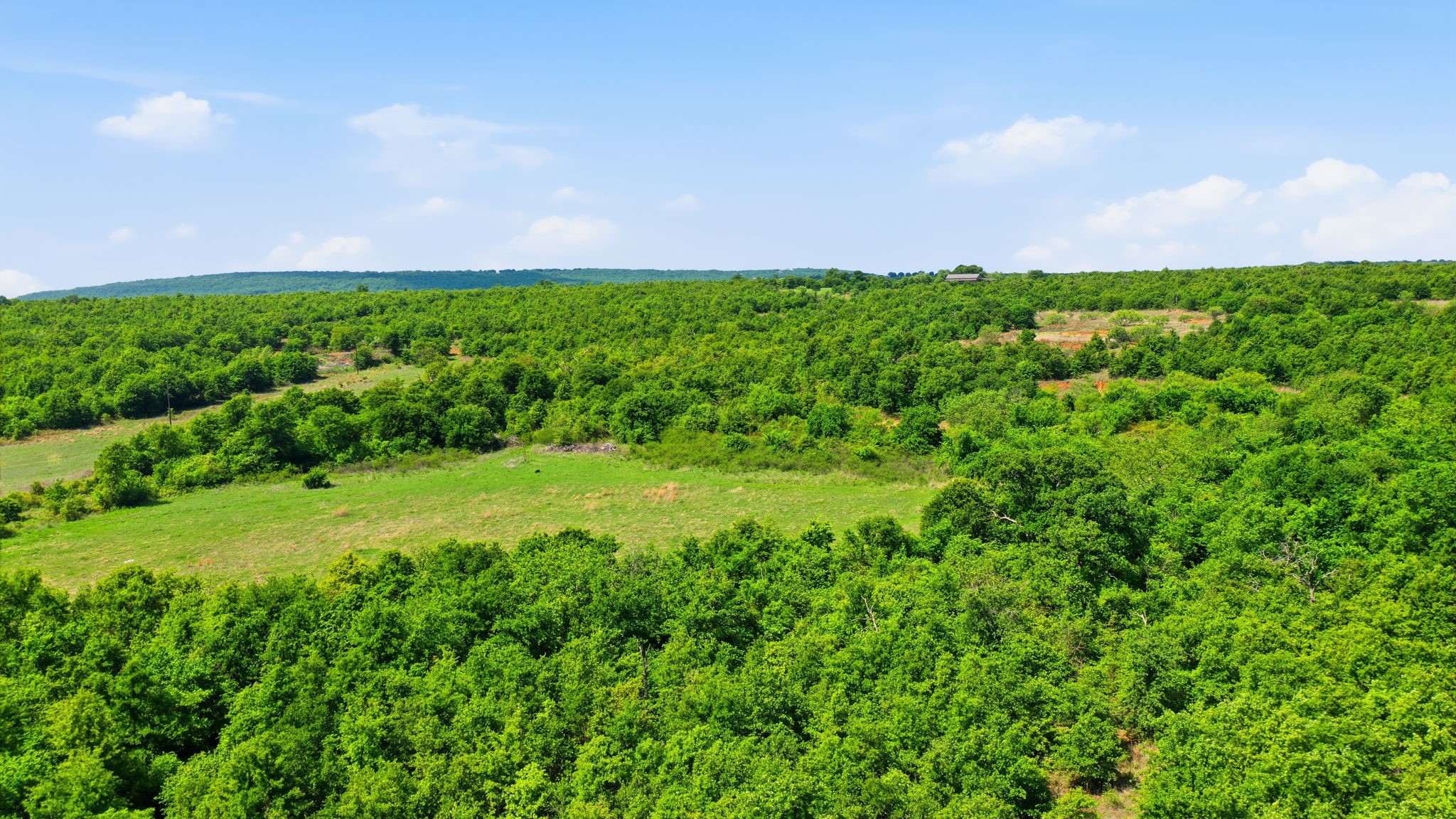 3180 Rock Creek Road Jacksboro TX 76458