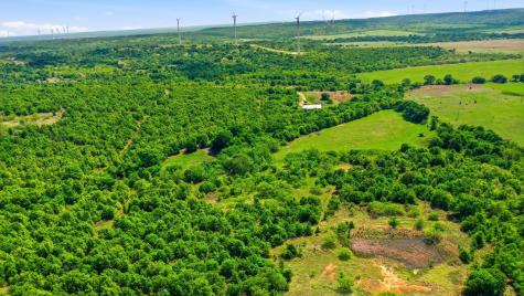 3180 Rock Creek Road Jacksboro TX 76458