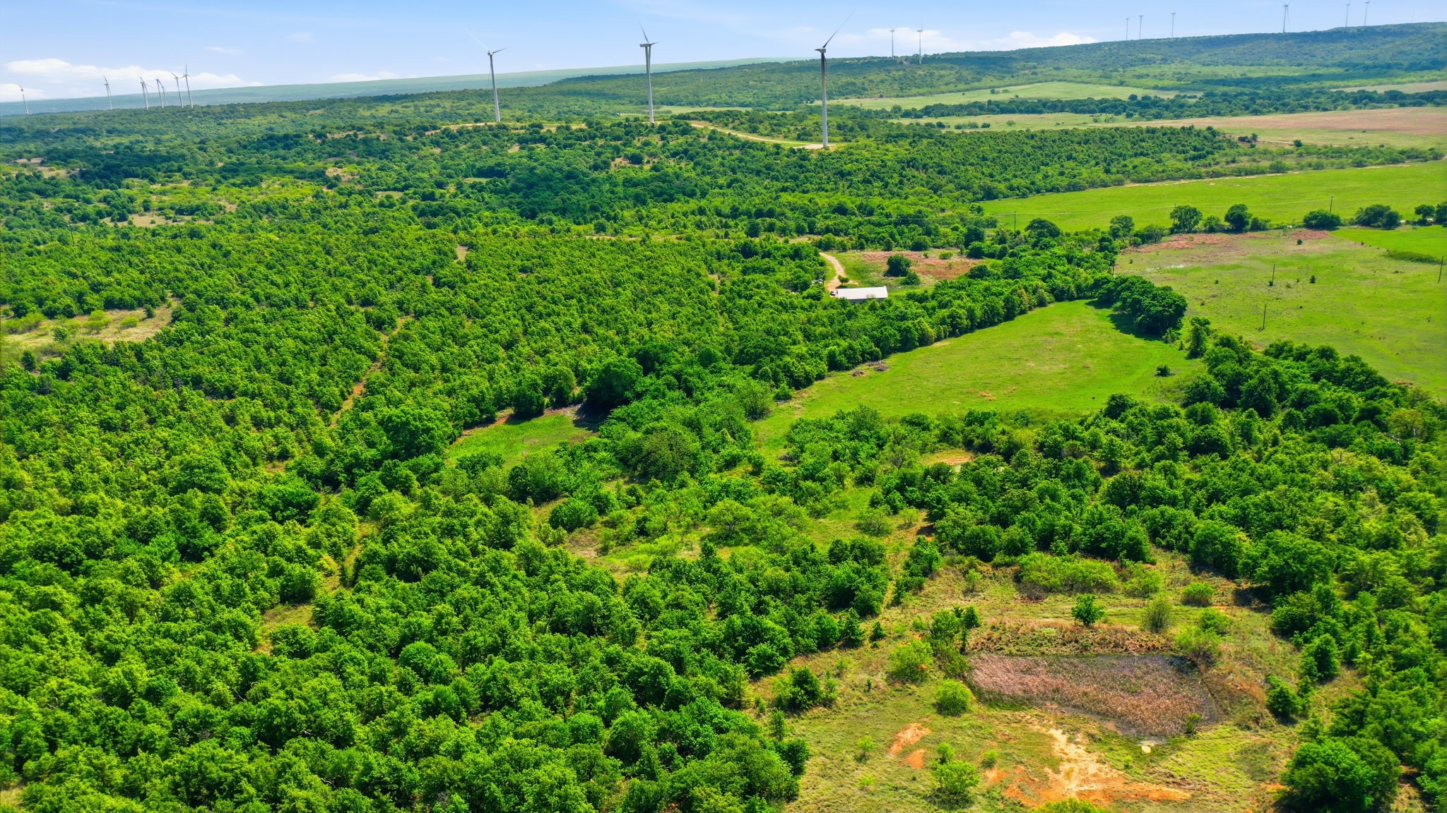 3180 Rock Creek Road Jacksboro TX 76458