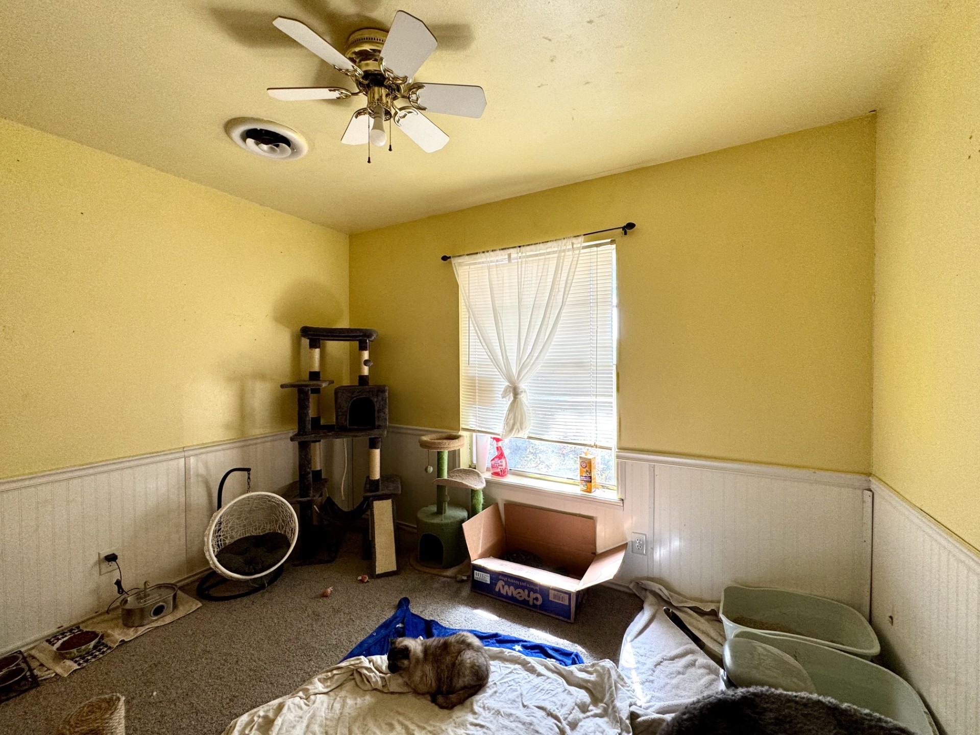 609 S Files Street Itasca TX 76055
