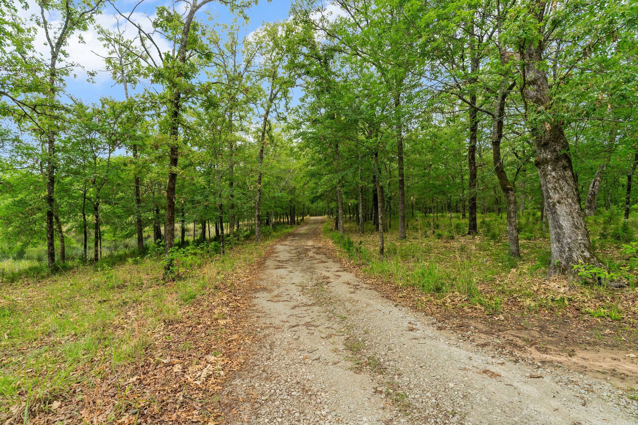 592 Rs County Road 1151 Emory TX 75440