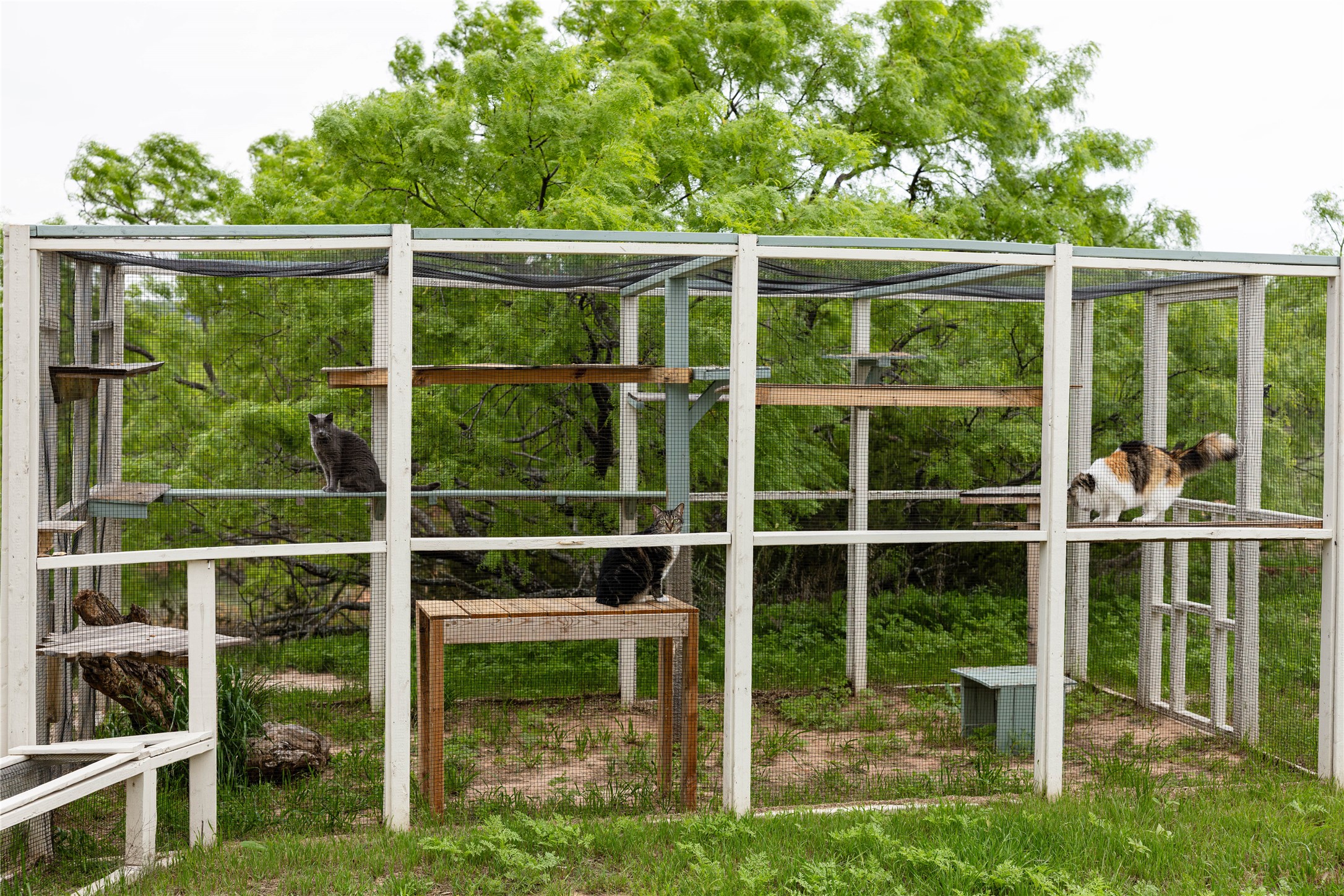 1700 County Road 207 Ovalo TX 79541