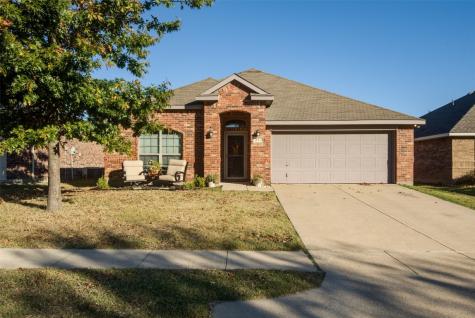 217 Rawhide Street Waxahachie TX 75165