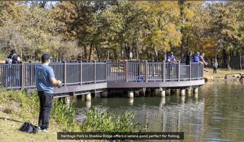1625 Tree Line Road Flower Mound TX 75028