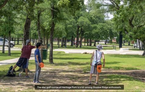 1625 Tree Line Road Flower Mound TX 75028