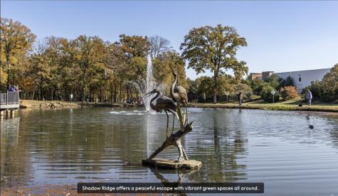 1625 Tree Line Road Flower Mound TX 75028