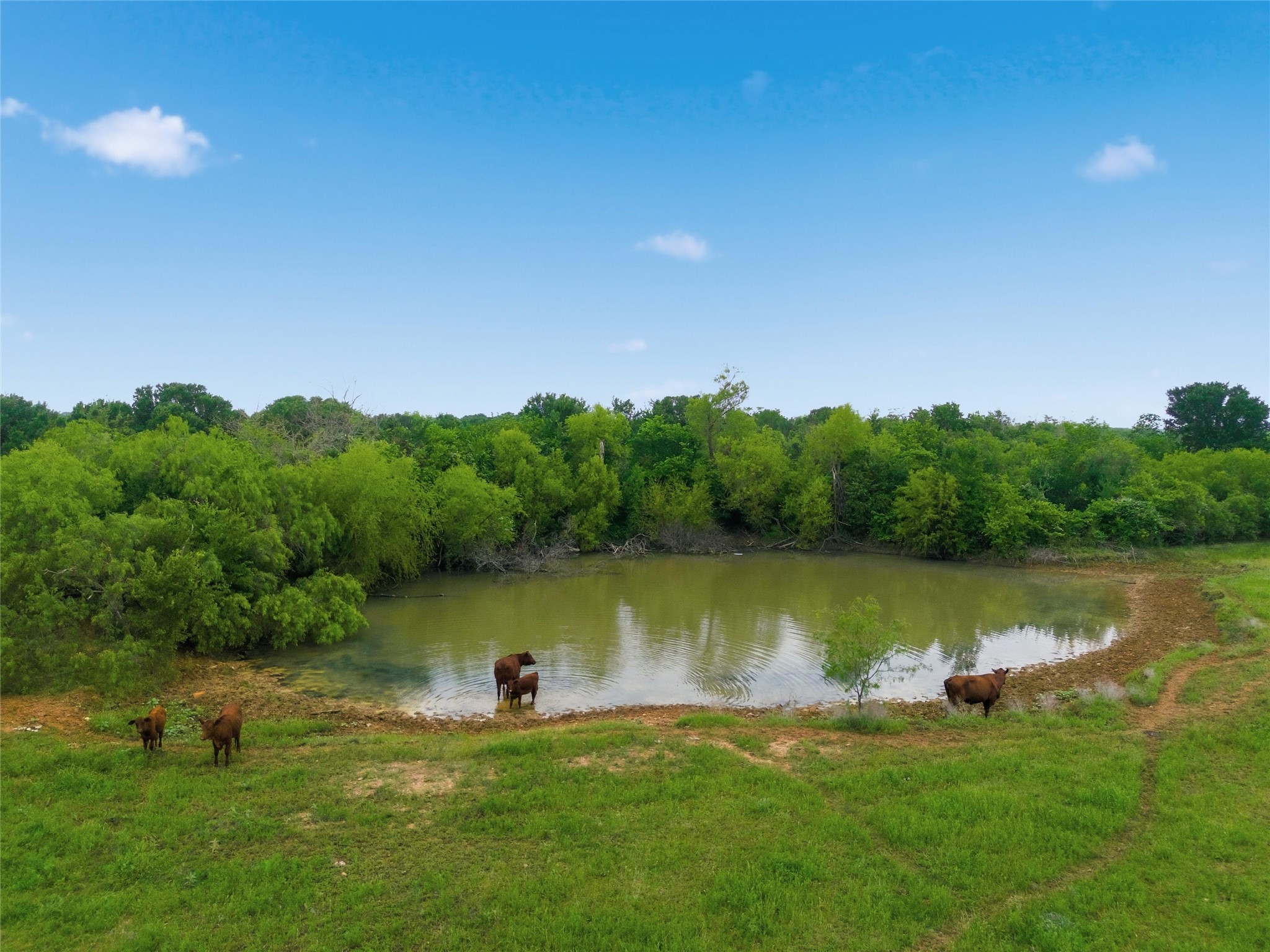 321 Hcr 2122 E Whitney TX 76692