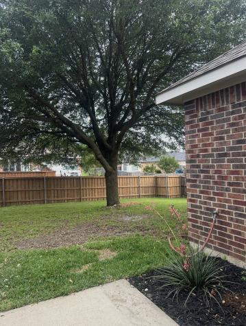 1624 Tanglerose Drive Desoto TX 75115