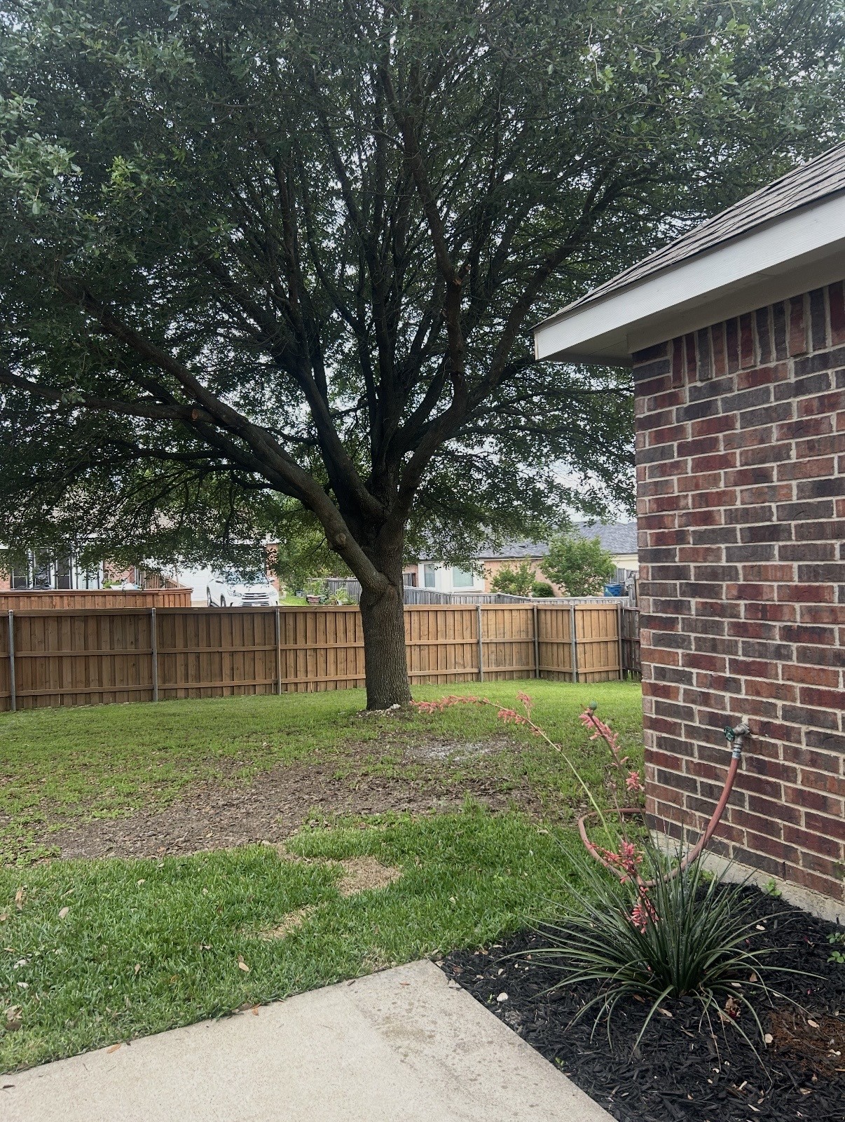 1624 Tanglerose Drive Desoto TX 75115