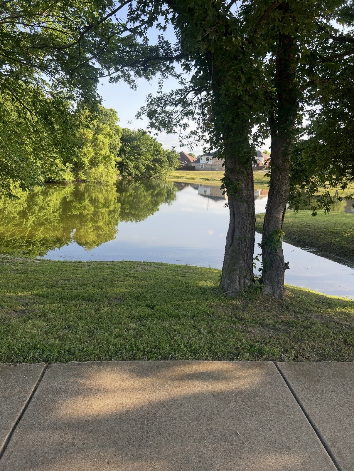 1624 Tanglerose Drive Desoto TX 75115