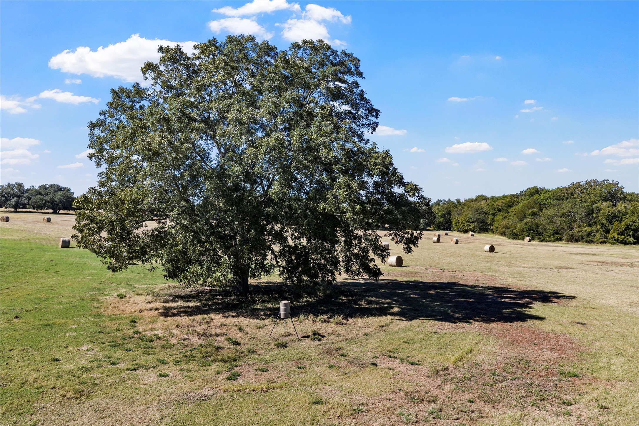 684 County Road 473 Lott TX 76656