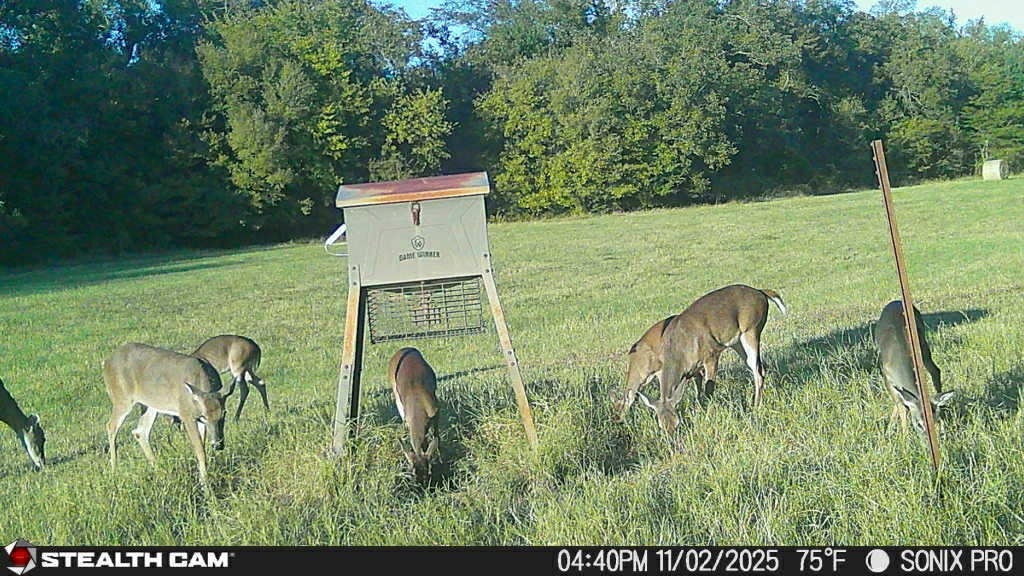 684 County Road 473 Lott TX 76656