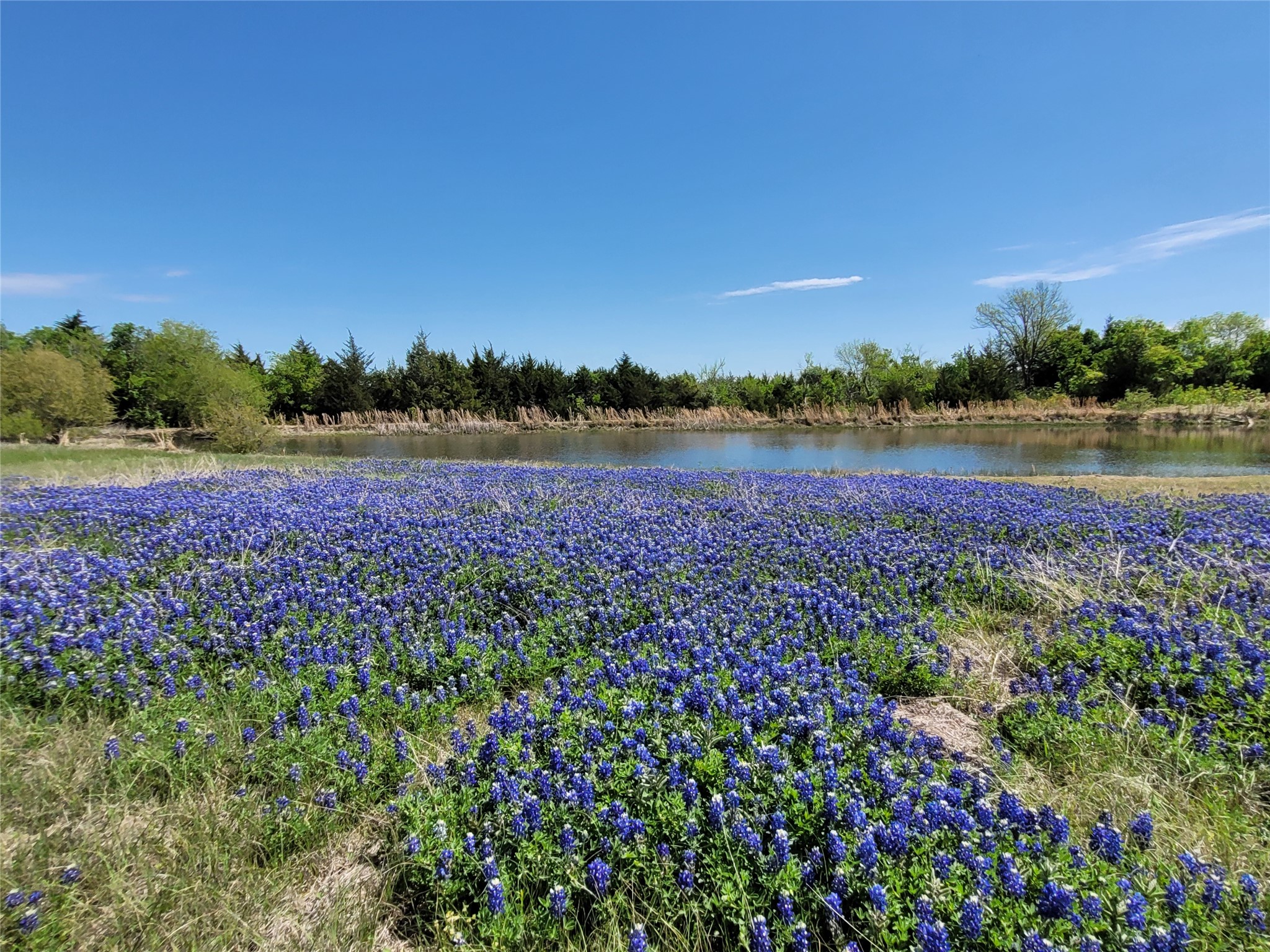 6824 175 Highway Kaufman TX 75142