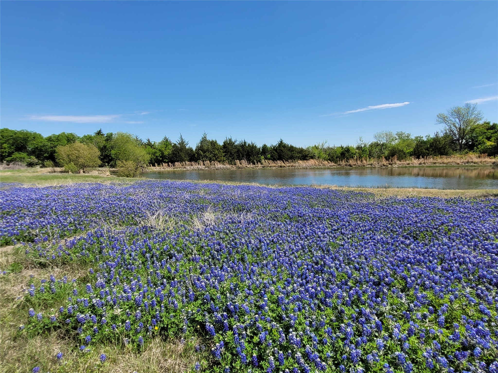 6824 175 Highway Kaufman TX 75142