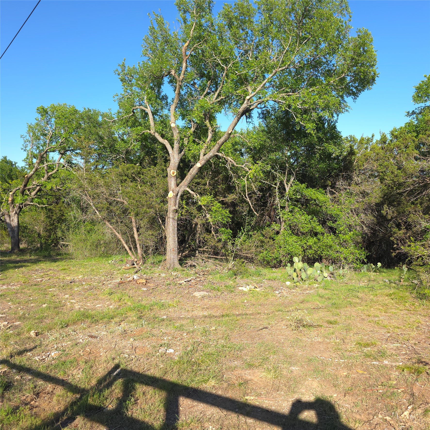135 Elm Street Palo Pinto TX 76484