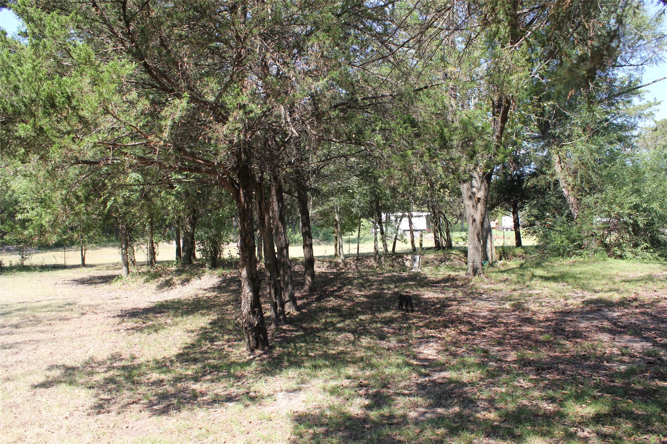 12608 Valverde Loop Terrell TX 75161