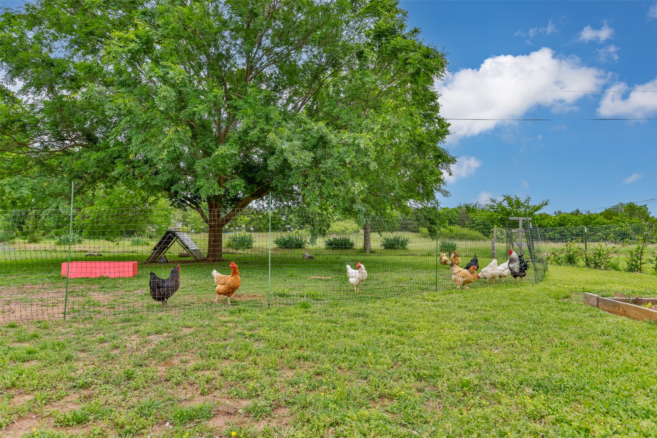 2212 Aspen Road Gainesville TX 76240