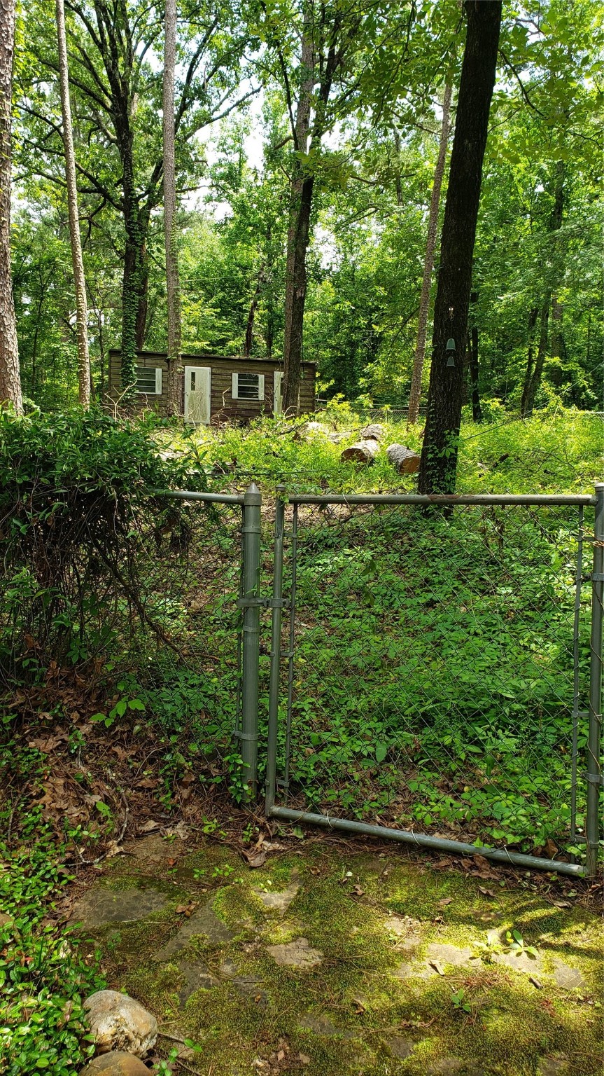 401 S Timberlane Lone Star TX 75638