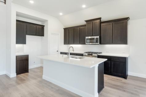 145 Whistling Duck Drive Balch Springs TX 75181
