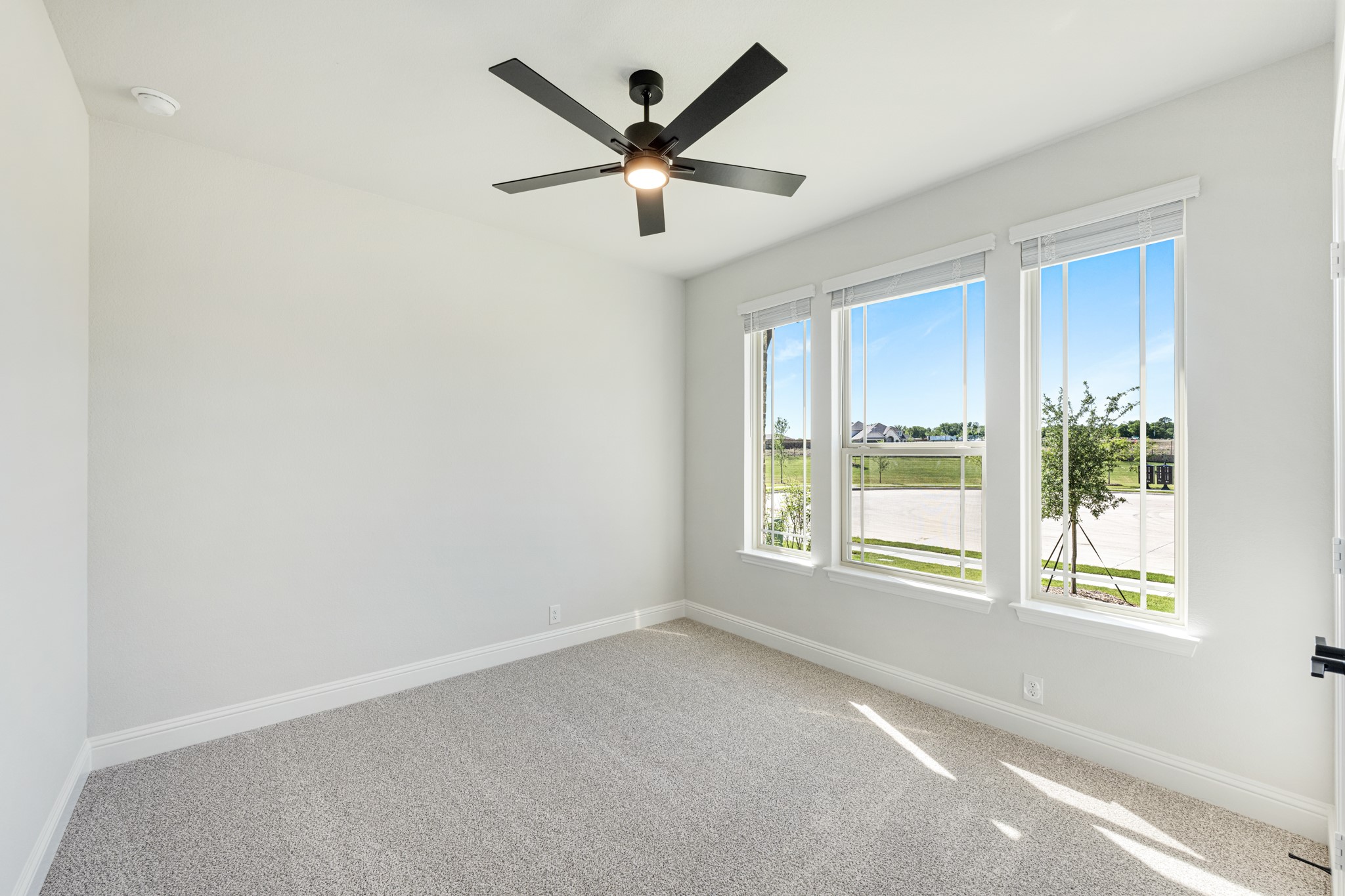 145 Whistling Duck Drive Balch Springs TX 75181