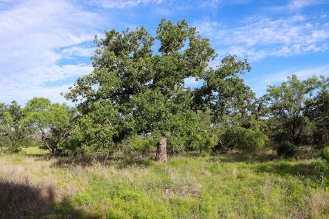 TBD Oak Ridge Trail Kingsland TX 78639