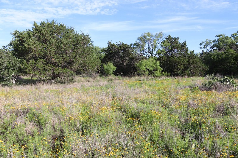 Tbd Oak Ridge Trail Kingsland TX 78639